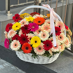 Корзина Макси Мысли о тебе из 71 герберы