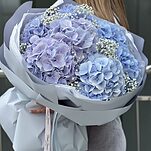 Букет Дождевые Облака из гортензий и гипсофилы