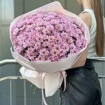 Букет Свежее Решение из 25 ветки розовой хризантемы