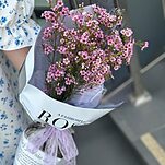 Букет из 5 веток Хамелациума