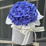 Коробка Васильковое небо с синей гортензией