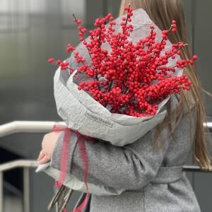 Банч из 5 веток илекса