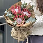 Банч из 3 протей