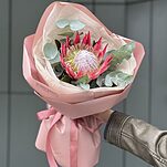 Монобукет из протеи