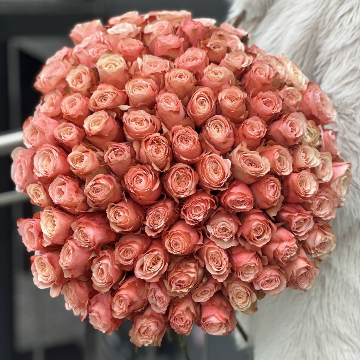 Букет из 101 розы сорта Кахала
