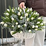 Корзина Белые ночи из 51 белого тюльпана и эвкалипта