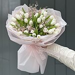 Букет Влюбленность M из белых тюльпанов и генисты