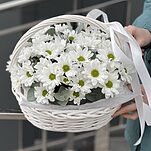 Корзина Облачко Стандарт из белой ромашковой хризантемы