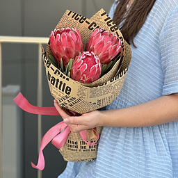 Банч из 3 протей