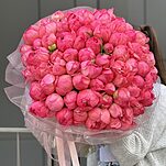 Букет Коралл Шарм из 81 пиона