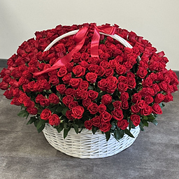 Корзина XXL из 301 красной розы