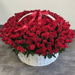 Корзина XXL из 301 красной розы