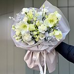 Букет Снежная Симфония из амариллисов, скиммии, илекса, эустомы и диантусов