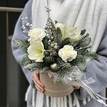 Композиция Первый снег из нобилиса, амарилиса, гвоздик и илекса