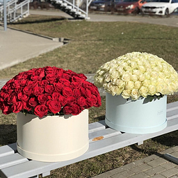 Композиция из 151 одноголовой розы Макси