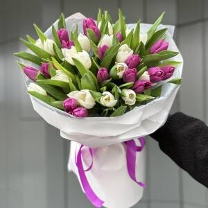 Букет Чикаго из 35 белого и фиолетового тюльпана