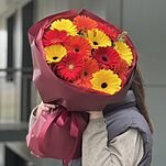 Королева Сердца из 13 гербер