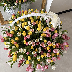 Корзина Макси из 301 тюльпана микс