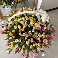 Корзина Макси из 301 тюльпана микс