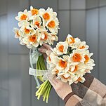 Букет из 15 нарциссов