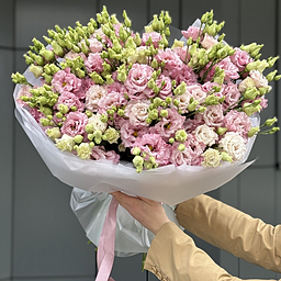 Букет Алиса из 25 веток кружевной нежной розовой эустомы