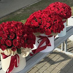 Сет композиций Фридом из 303 красных роз - 3 композиции по 101 розе