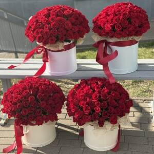 Сет композиций Фридом из 404 красных роз - 4 композиции по 101 розе
