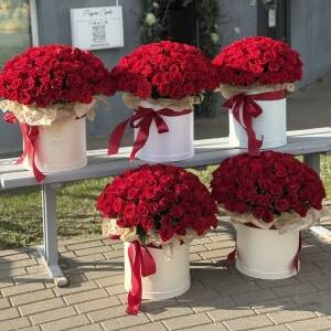 Сет композиций Фридом из 505 красных роз - 5 композиций по 101 розе