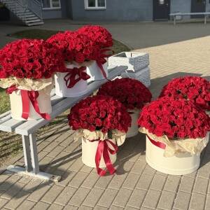 Сет композиций Фридом из 707 красных роз - 7 композиций по 101 розе