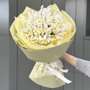 Букет Ириска из 25 белых ирисов