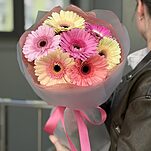 Букет Позитив из 7 нежных гербер и зелени