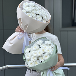 Букет Алтай из 5 веток хризантемы