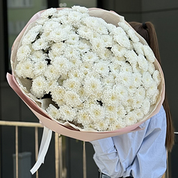 Букет Алтай из 25 веток хризантемы