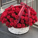 Корзина из 101 красной розы Фридом