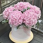 Коробка Эльза макси из гортензий и эвкалипта