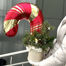 Сет Новогодний