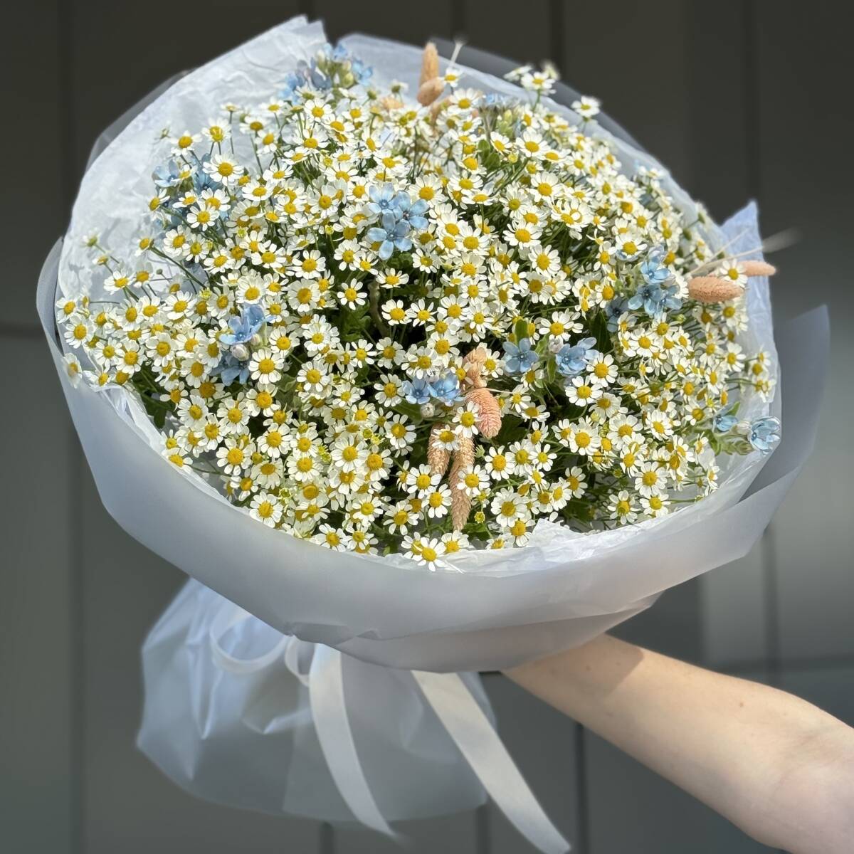 Букет Бохо Макси из оксипеталума и танацетума