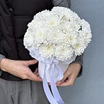 Коробочка Алтай из 5 веток хризантемы