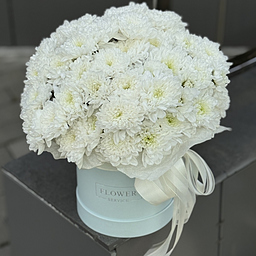 Коробка Алтай из 11 веток хризантемы