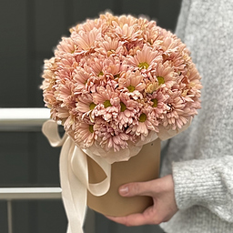 Композиция Энна из 5 веток персиковой хризантемы