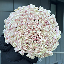 201 Розовая роза