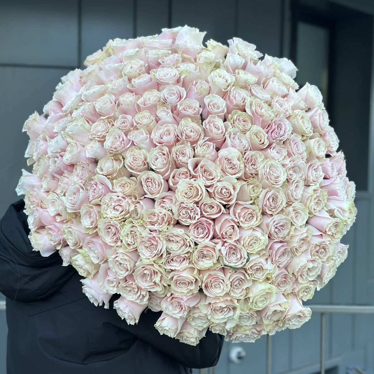 201 Розовая роза