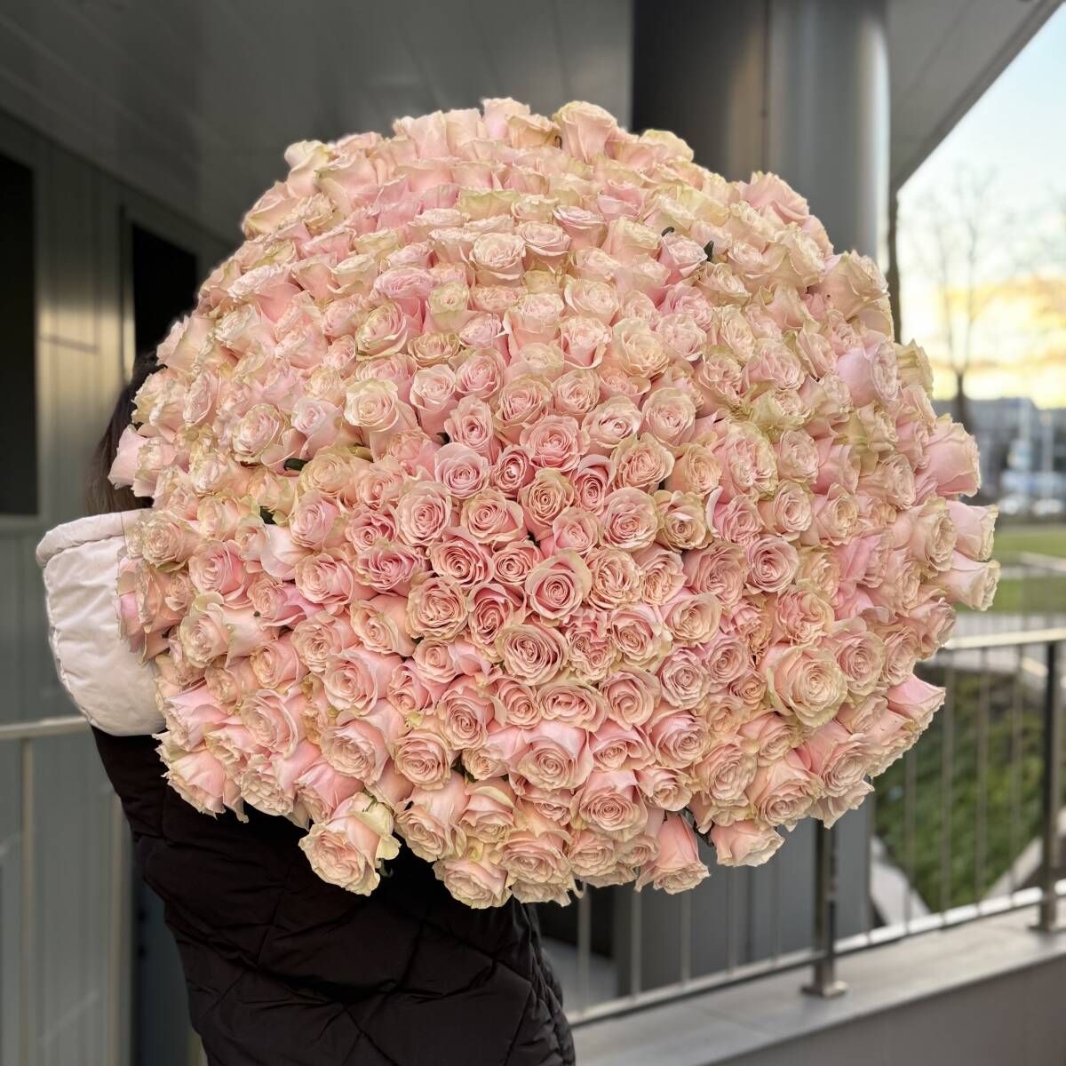 Букет из 301 розовой розы