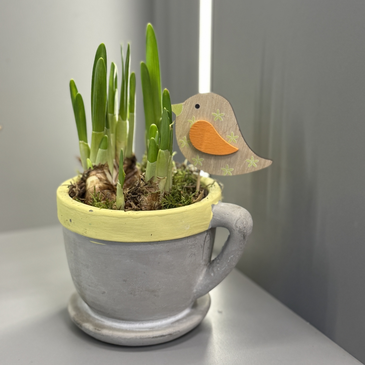 Нарциссы в декоративном кашпо