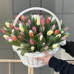 Композиция Секрет Весны из 75 тюльпанов микс