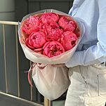 Букет Коралл Шарм из 7 пионов