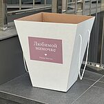 Переноска с аквабоксом