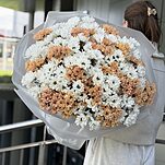 Букет Дуэт из 35 веток белой и персиковой хризантемы салмон