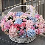 Композиция Королевский размах из гортензий, пионов, пионовидных роз, маттиолы и оксипеталума