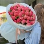 Букет Коралл Шарм из 35 пионов